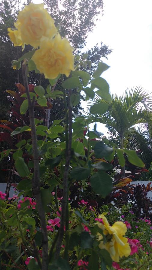 Sun Suites Cozumel Luaran gambar